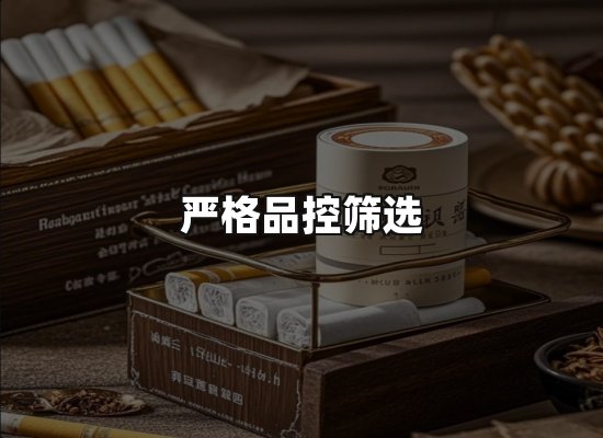 专业优势